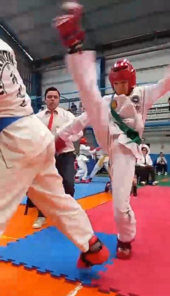 Taekwondo