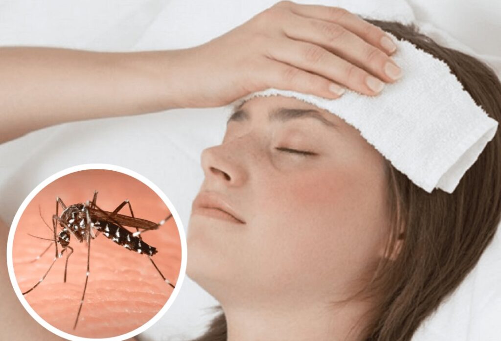Dengue
